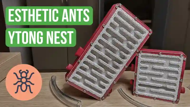 Esthetic Ants Ytong Nest Review
