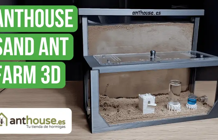 Anthouse Sand Ant Farm 3D L Review