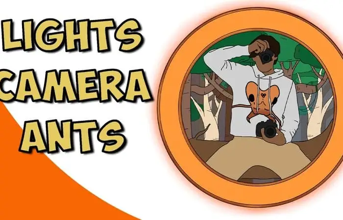 The Lights Camera Ants Interview - The Ant Pod