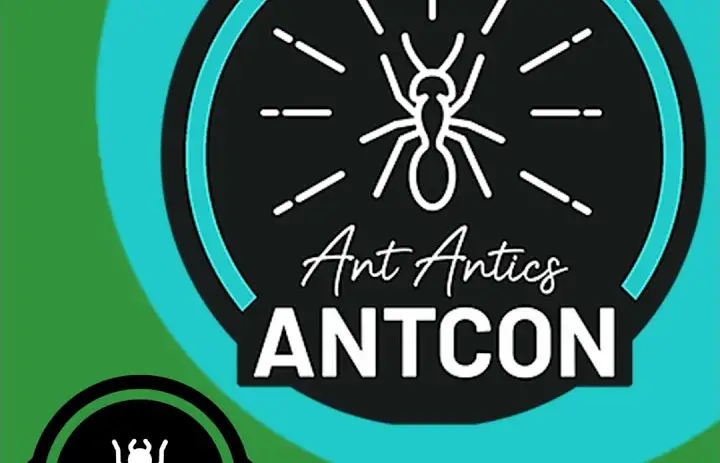 Antcon 2024 Review! - The Ant Pod