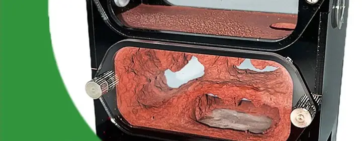 Is Ant Keeping Doomed? - The Ant Pod