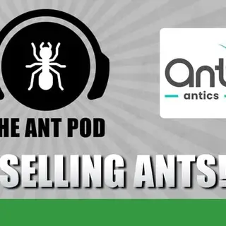 Cover image for audio track: Selling Ants! - The Ant Pod