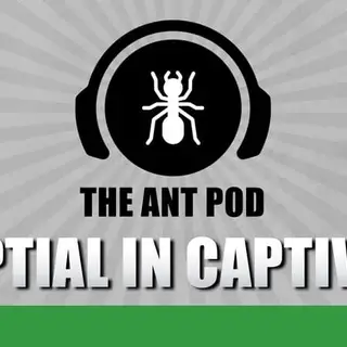 Cover image for audio track: Nuptial Flights In Captivity - The Ant Pod