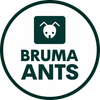 Logo de BRUMA Ants